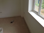 Gallery title (421/1920)