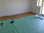 Gallery title (329/1920)