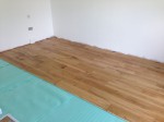 Gallery title (328/1920)
