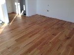 Gallery title (323/1920)