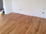 Gallery title (321/1920)