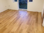 Gallery title (318/1920)