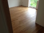 Gallery title (316/1920)