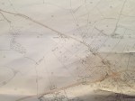 Gallery title (168/1920)